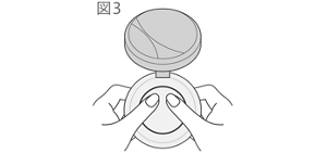 図3
