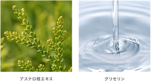 アスナロ枝エキス グリセリン