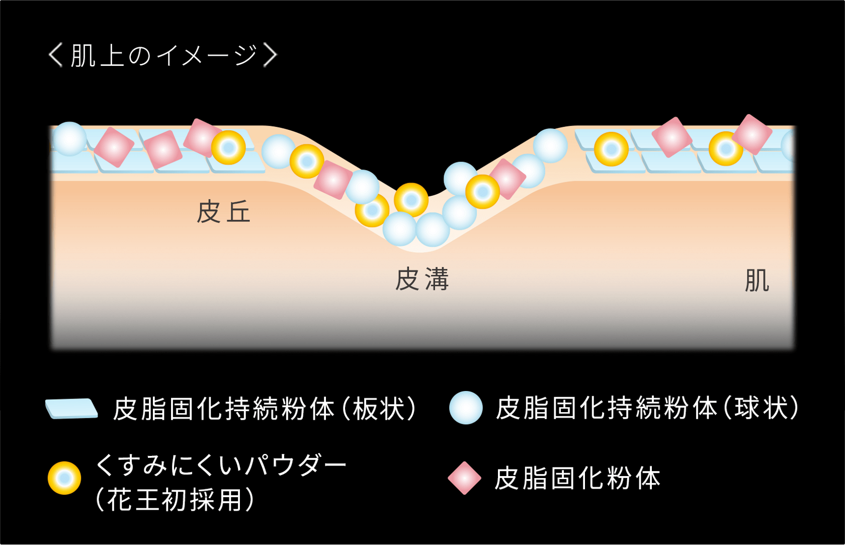 EXマットパウダー＜超オイリー肌用＞｜プリマヴィスタ｜花王
