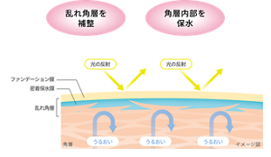 乱れ角層を補整 角層内部を保水 イメージ図