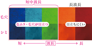 光の波長のイメージ図。短中波長は色ムラ・毛穴が目立つ。長波長は目立ちにくい。