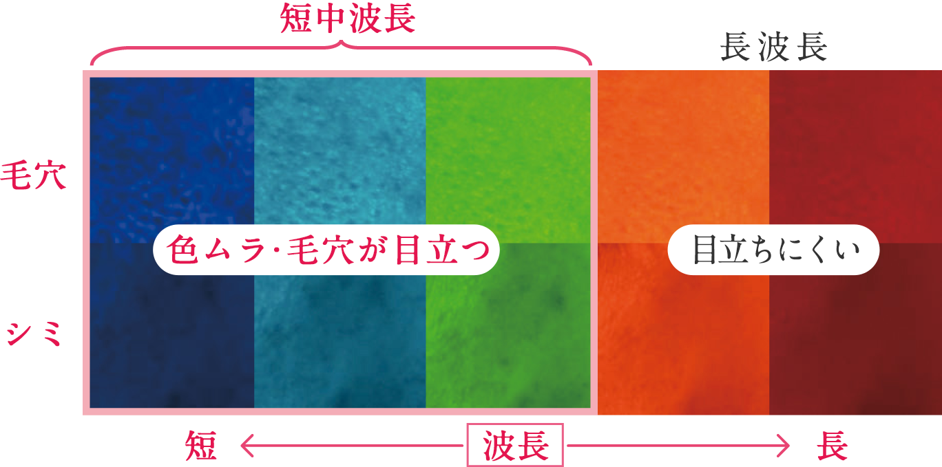 花王 ソフィーナ プリマヴィスタ ディア どうして50代にはディアなの 花王 ソフィーナ プリマヴィスタ ディア どうして50代にはディアなの