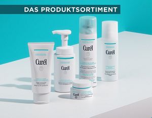 Curél Moisture Facial Cream 6個セット Intensive Feuchtigkeits-Gesichtscreme ─ Japanische Gesichtspflege