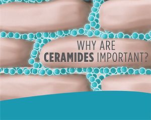 curél dry skin therapy hydra silk moisturizer