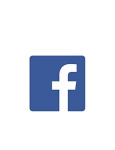 facebook logo2