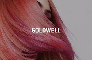 2763_WEB_Bilder_GW_Uebersicht_Goldwell_640x417_231206_1_01