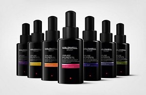 3 goldwell system s10 b1