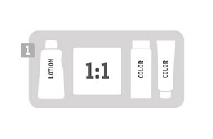 3 goldwell system s12 b1a