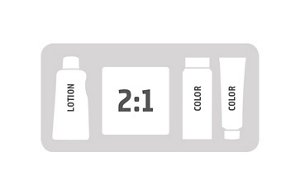 3 goldwell system s12 b1b