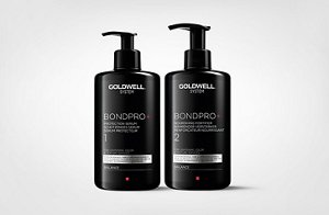3 goldwell system s20 b1