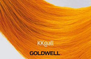 Goldwell Elumen Extra – Färbeschürze In Schwarz, Friseur-Qualität Für Zuhause