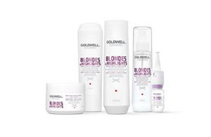 ds overview segment teaser blhl