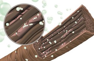 cms 2018 cac packshot01