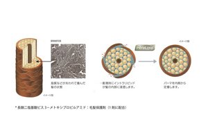 cms 2018 cw benefit1