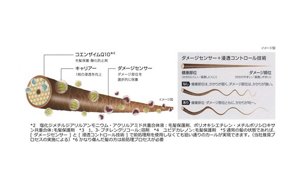 cms 2018 cw benefit2