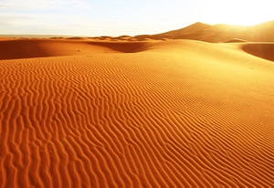 Sand desert