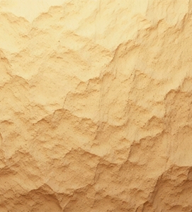Trend-Image3.jpg