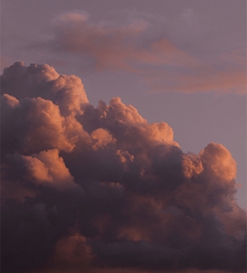 Jane-Boddy-Ashen-Lavender2