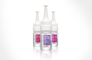 image blondes assort inno 05 01