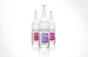 image blondes assort inno 05 01