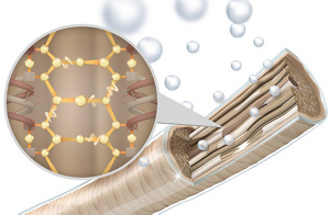 blank medium teaser3