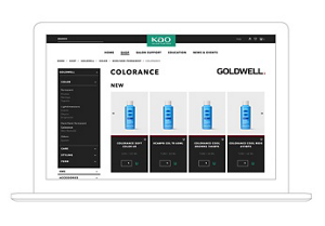 Website screen showing the KAO shop with Colorance products