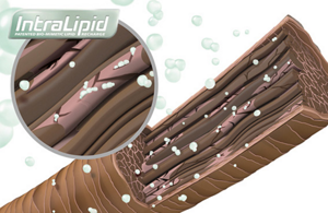 GW-Colorance-Services-Technology-M-Slider-1