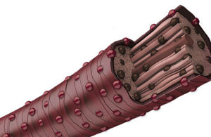 GW-Colorance-Services-Technology-M-Slider-3