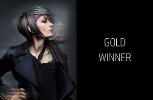 partner01 gold 551 usa gpc1 mio sota