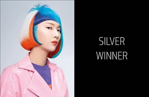 global creative artist silver van dong luong