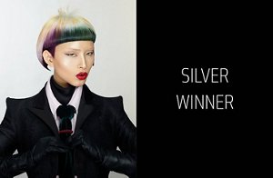 global partner colorist silver van ha hoang