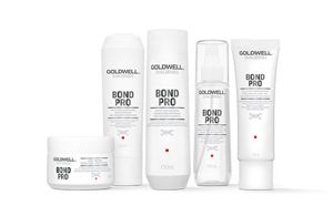 Goldwell shampoo sales
