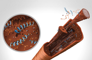 GW_DS_BondPro_Products_Technology_Amion_m-Teaser