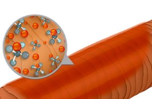 gw dualsenses color revive landingpage conditioner technology 2019