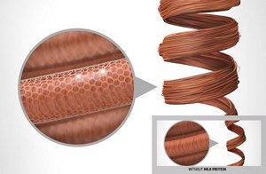 ds curly twist technology milk protein