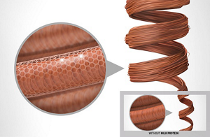 ds curly twist technology milk protein