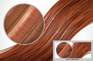 ds just smooth technology kukui nut oil