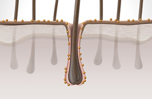 ds men technology guarana