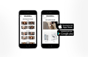 ds overview app teaser