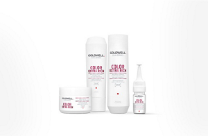 ds overview segment teaser cer