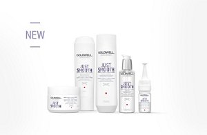 ds overview segment teaser js