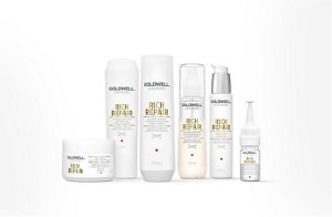 ds overview segment teaser rr