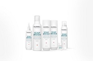 ds overview segment teaser ss