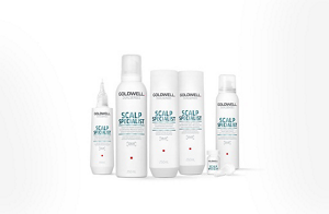 ds overview segment teaser ss