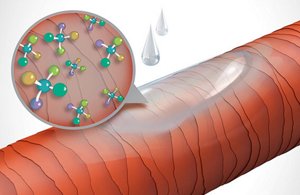 Animated close up of hair showing its' structure