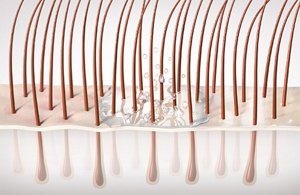 Close up of group of hair in the skin