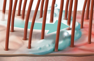 ds scalp specialist technology lime tree