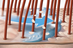 ds scalp specialist technology octopirox zinc pyrithione