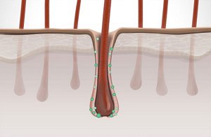 ds scalp specialist technology t flavanone