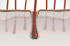 ds scalp specialist technology t flavanone
